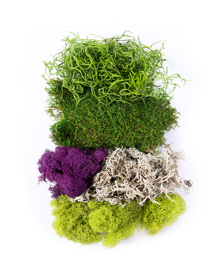 Moss Mix