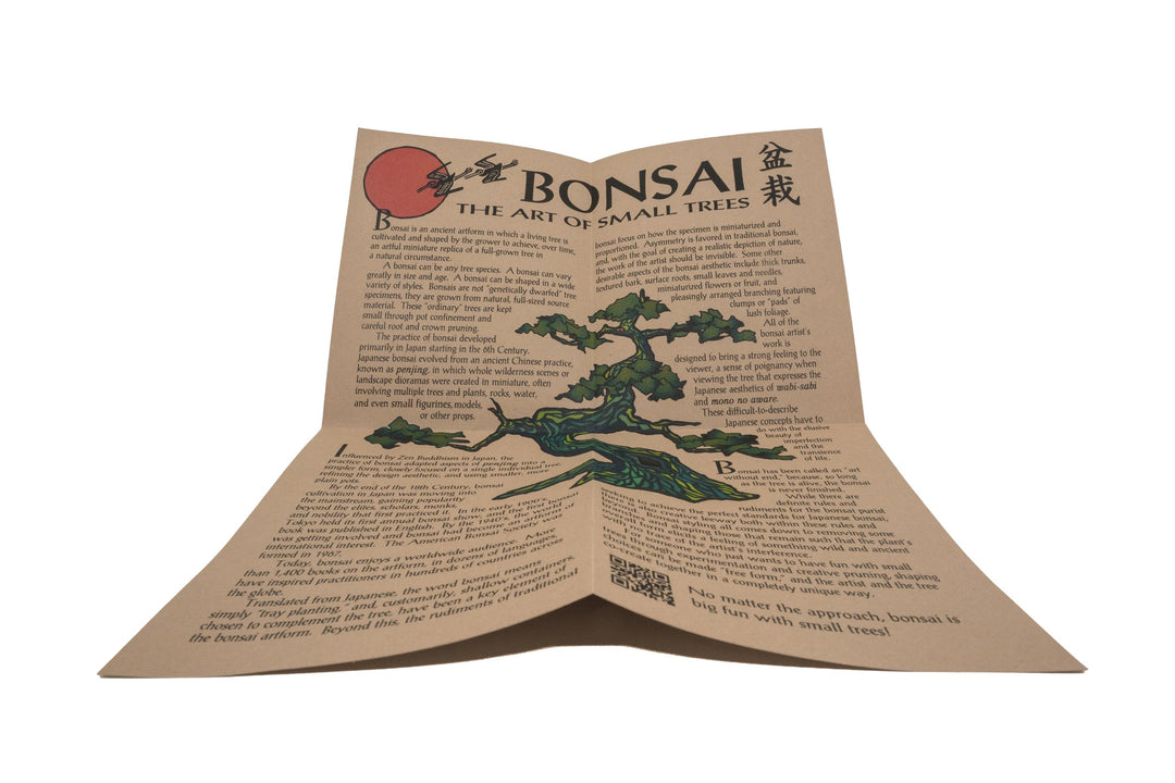 Bonsai Tree Grow Kit