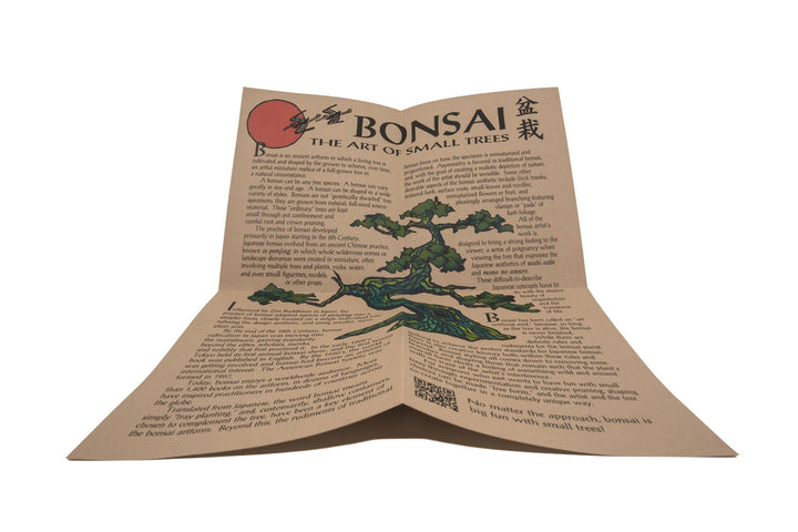 Bonsai Tree Grow Kit