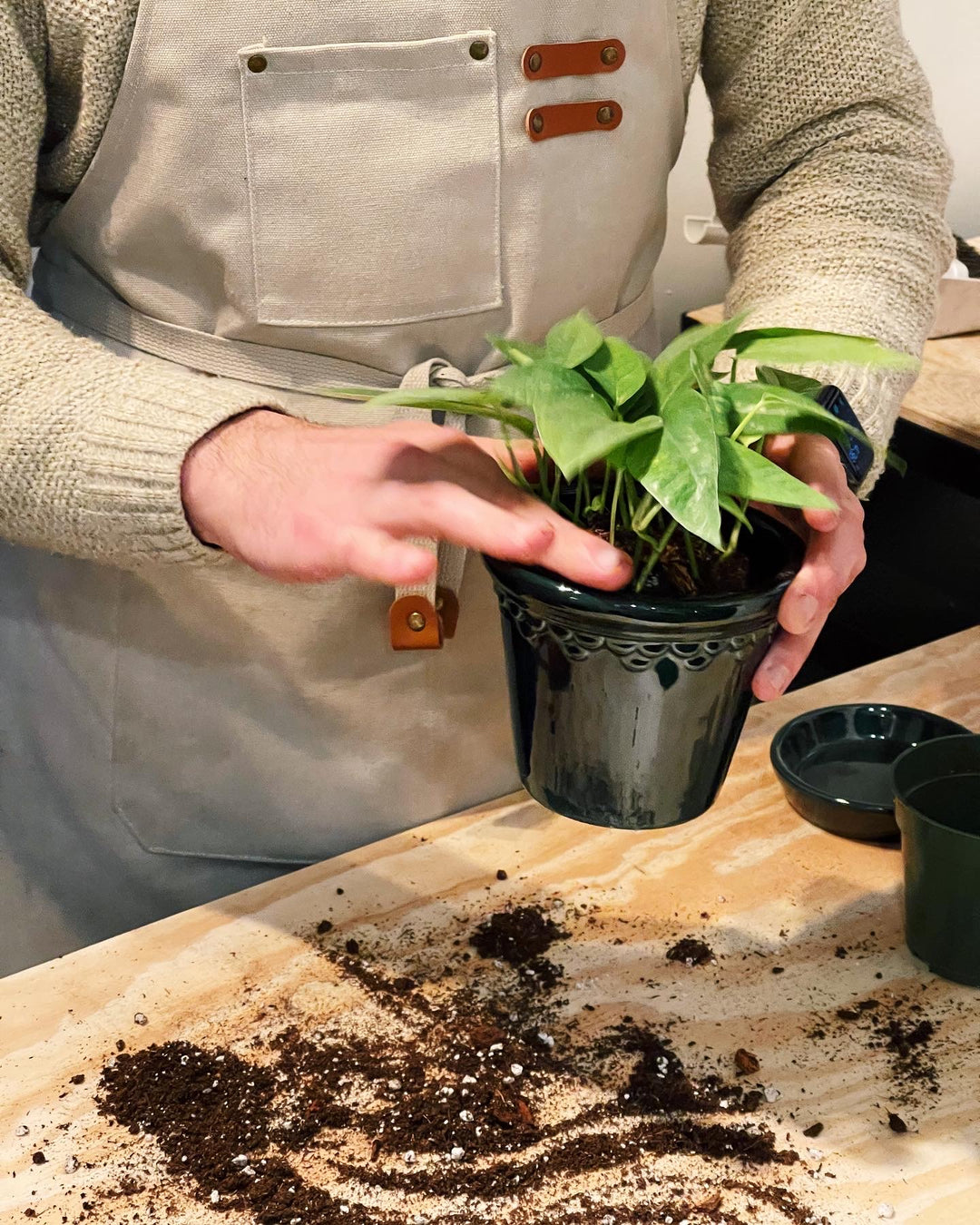 Potting Workshop – Bergs Potter x The Old Yew