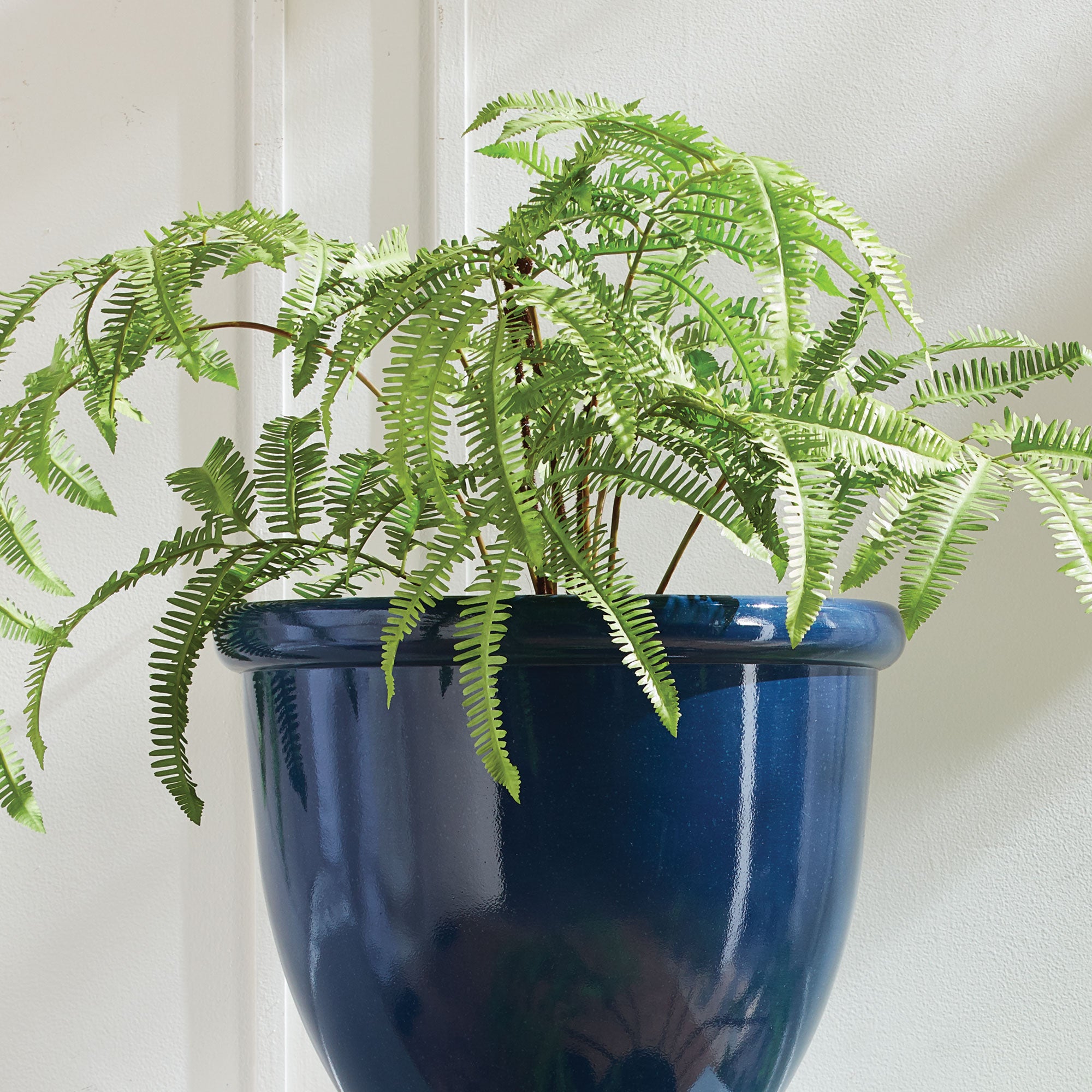 The Old Yew Plant Shop Faux Forest Fern - Thumbnail 4