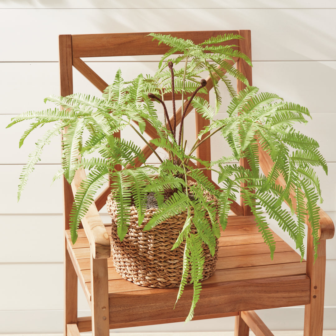 Faux Forest Fern