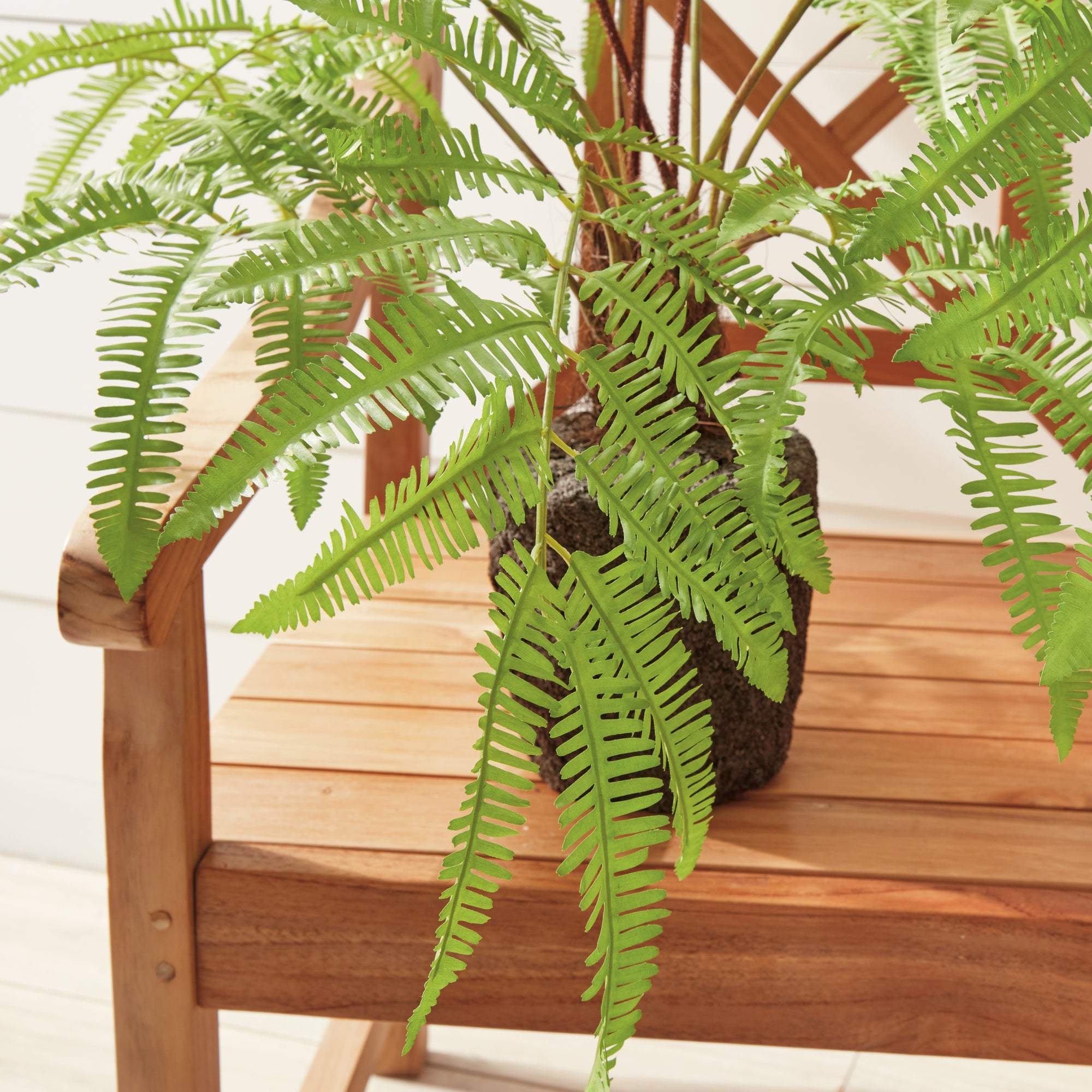 The Old Yew Plant Shop Faux Forest Fern - Thumbnail 2