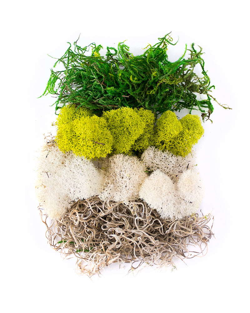 Moss Mix