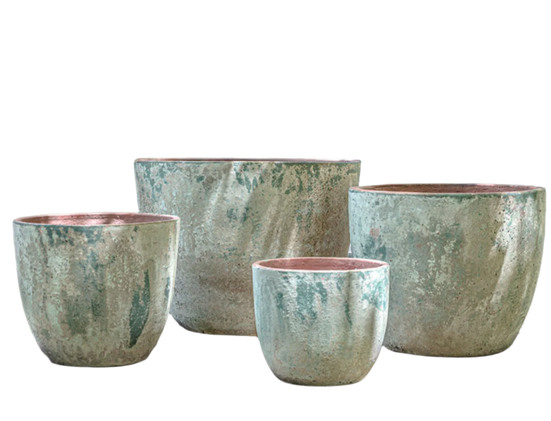 Cassia Planter