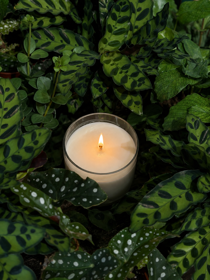 The Old Yew Candle