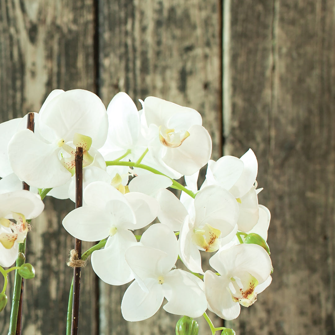 23" Faux Orchid - White