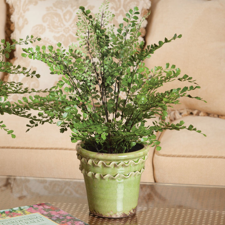 Faux Maidenhair Fern