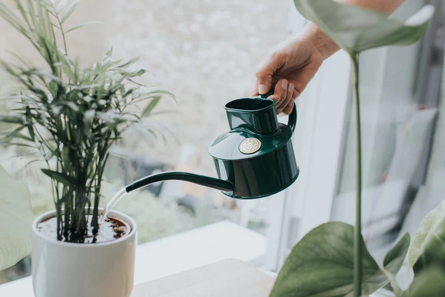 Haws Fazeley Watering Can