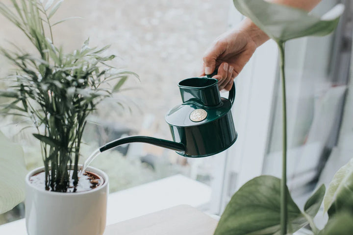 Haws Fazeley Watering Can