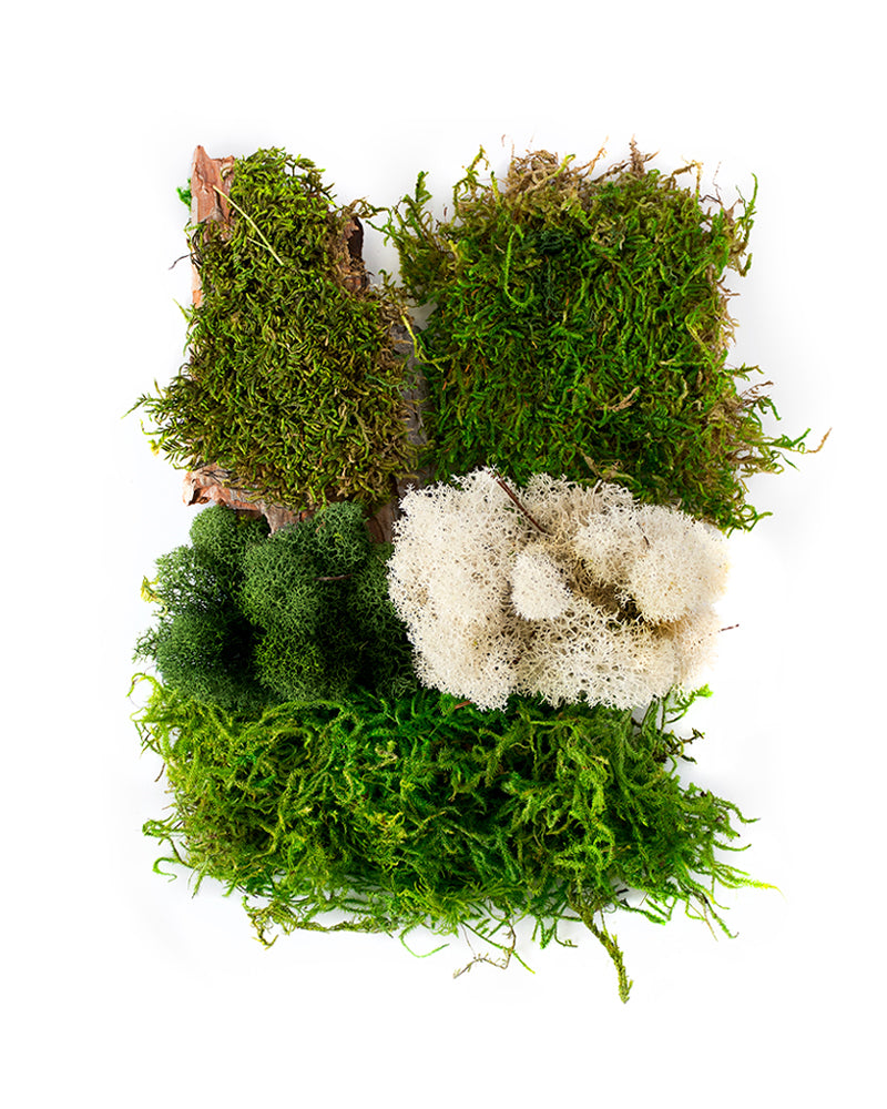 Moss Mix