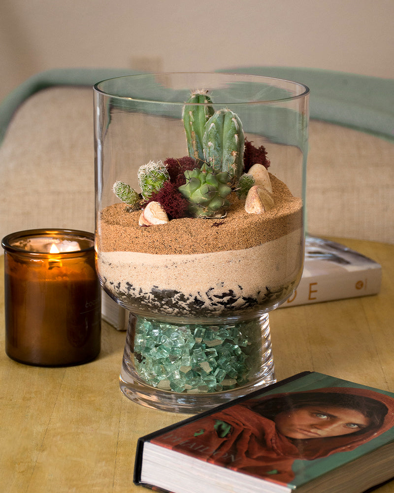 Terrarium DIY Kit