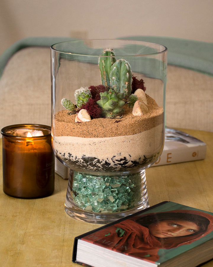 Terrarium DIY Kit