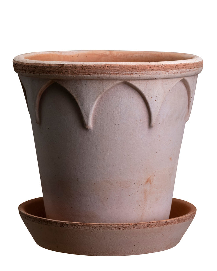 Bergs Potter – The Old Yew Plant Shop