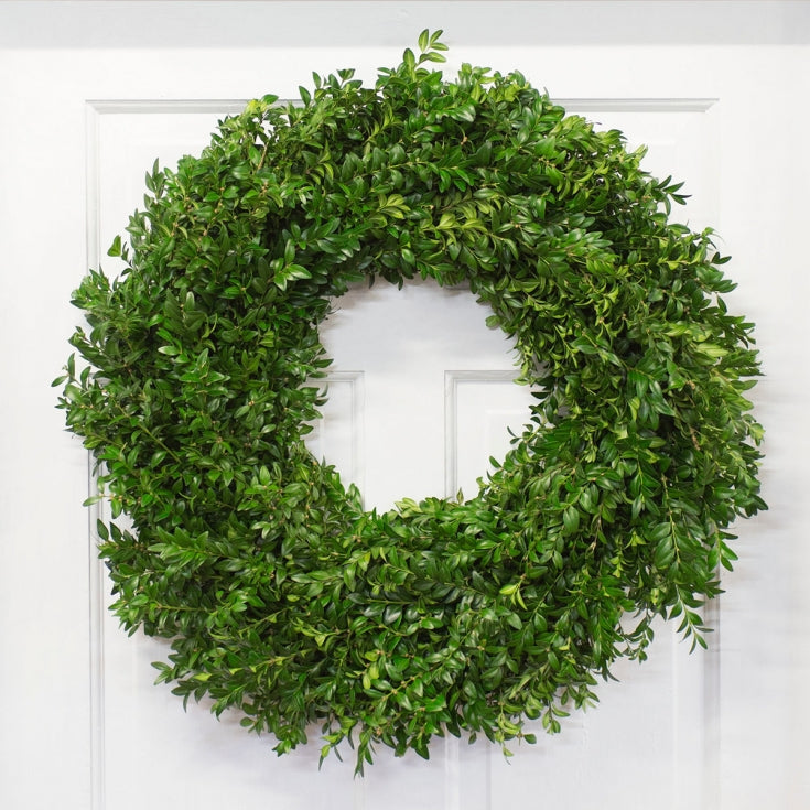 Live Boxwood Wreath