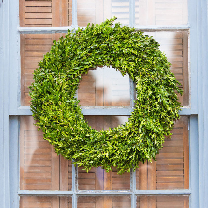 Live Boxwood Wreath