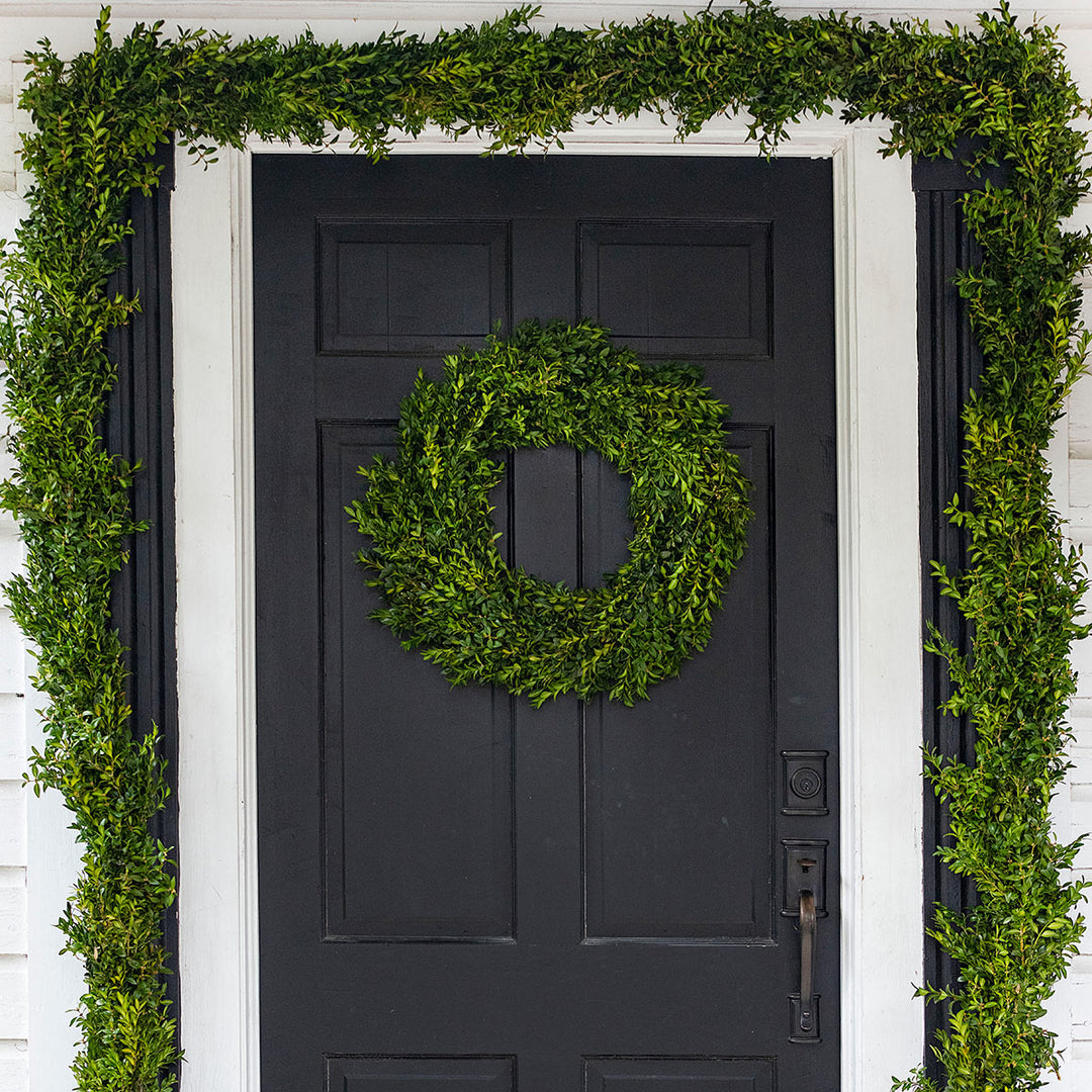 Live Boxwood Wreath