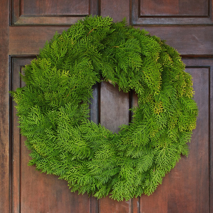 Live Cedar Wreath