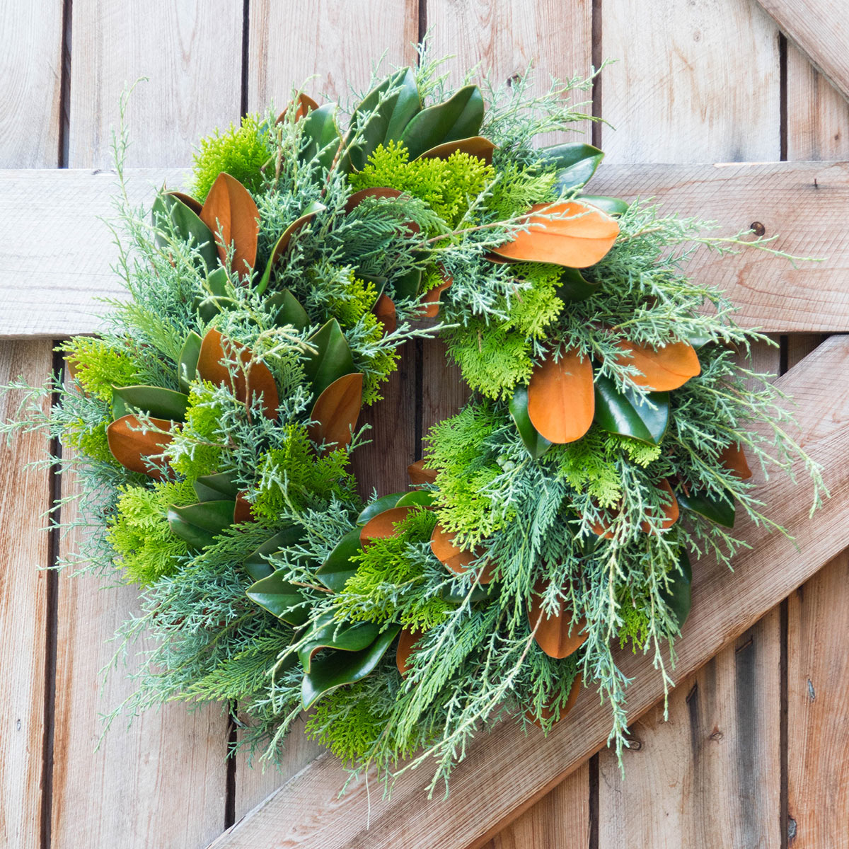 The Old Yew Plant Shop Wreath - Thumbnail 2