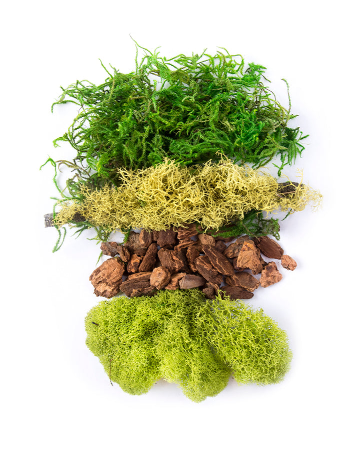 Moss Mix