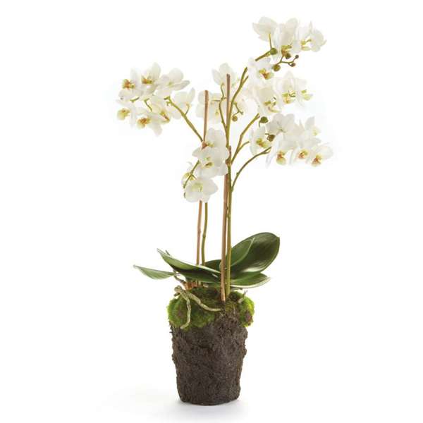 20" Faux Orchid - White