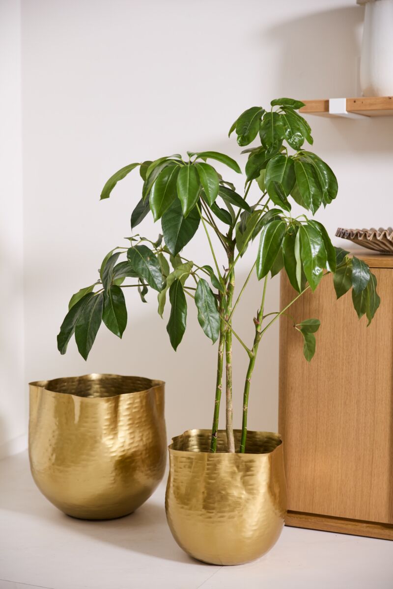 Gold Hammered Metal Pot - Thumbnail 4