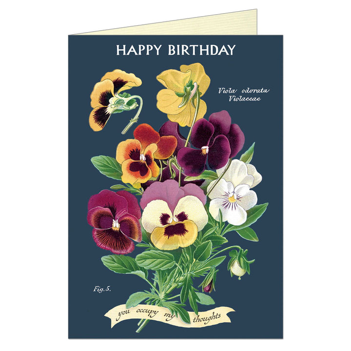 Cavallini Greeting Card