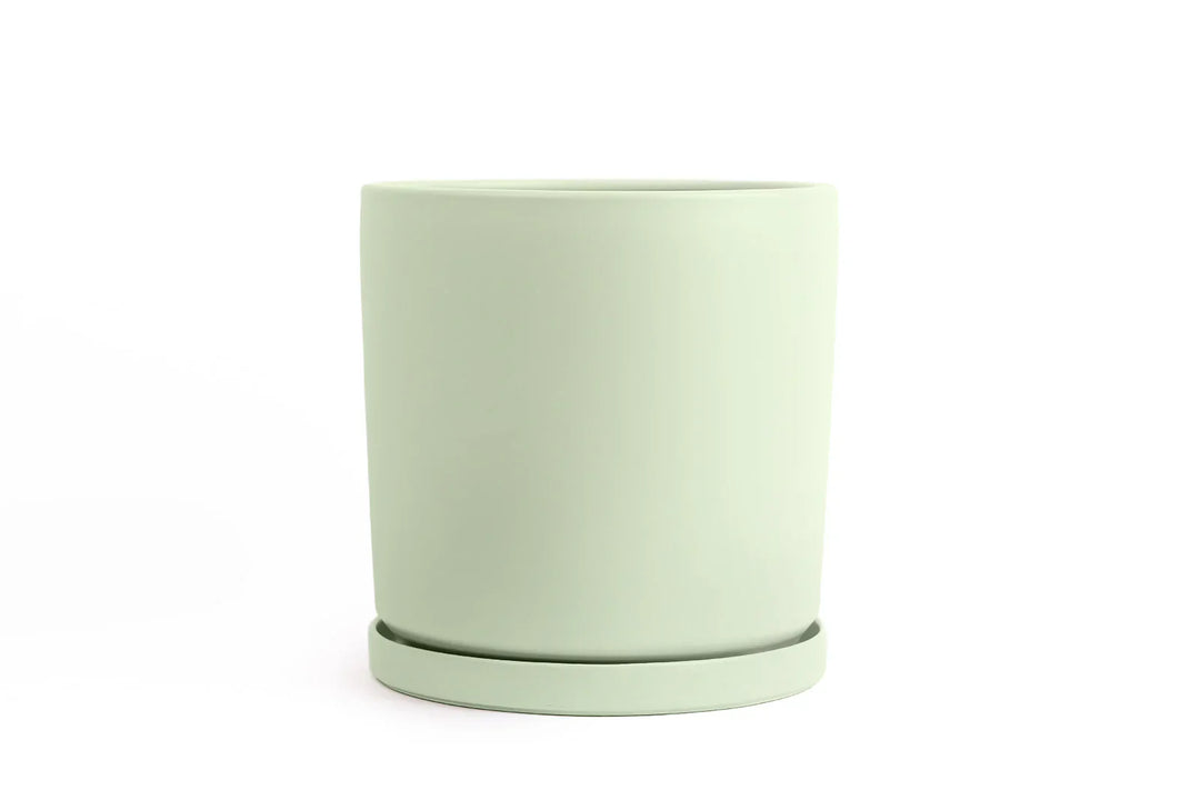 Cylinder Pot with Saucer