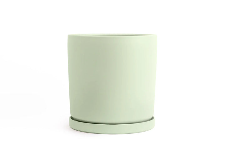 Cylinder Pot with Saucer