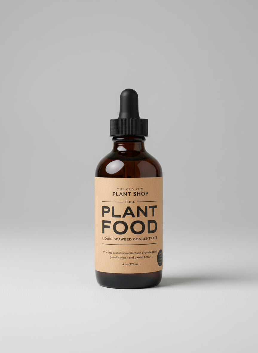 The Old Yew Plant Food