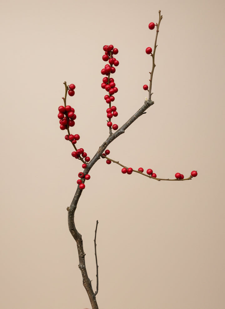 Holiday Branches