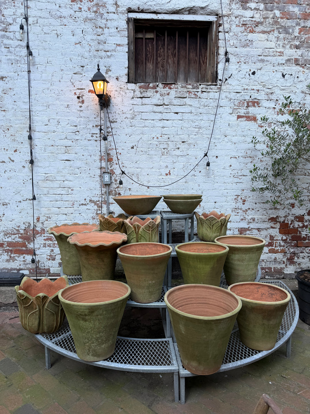 Mossy Terra Cotta Pot – Clematis
