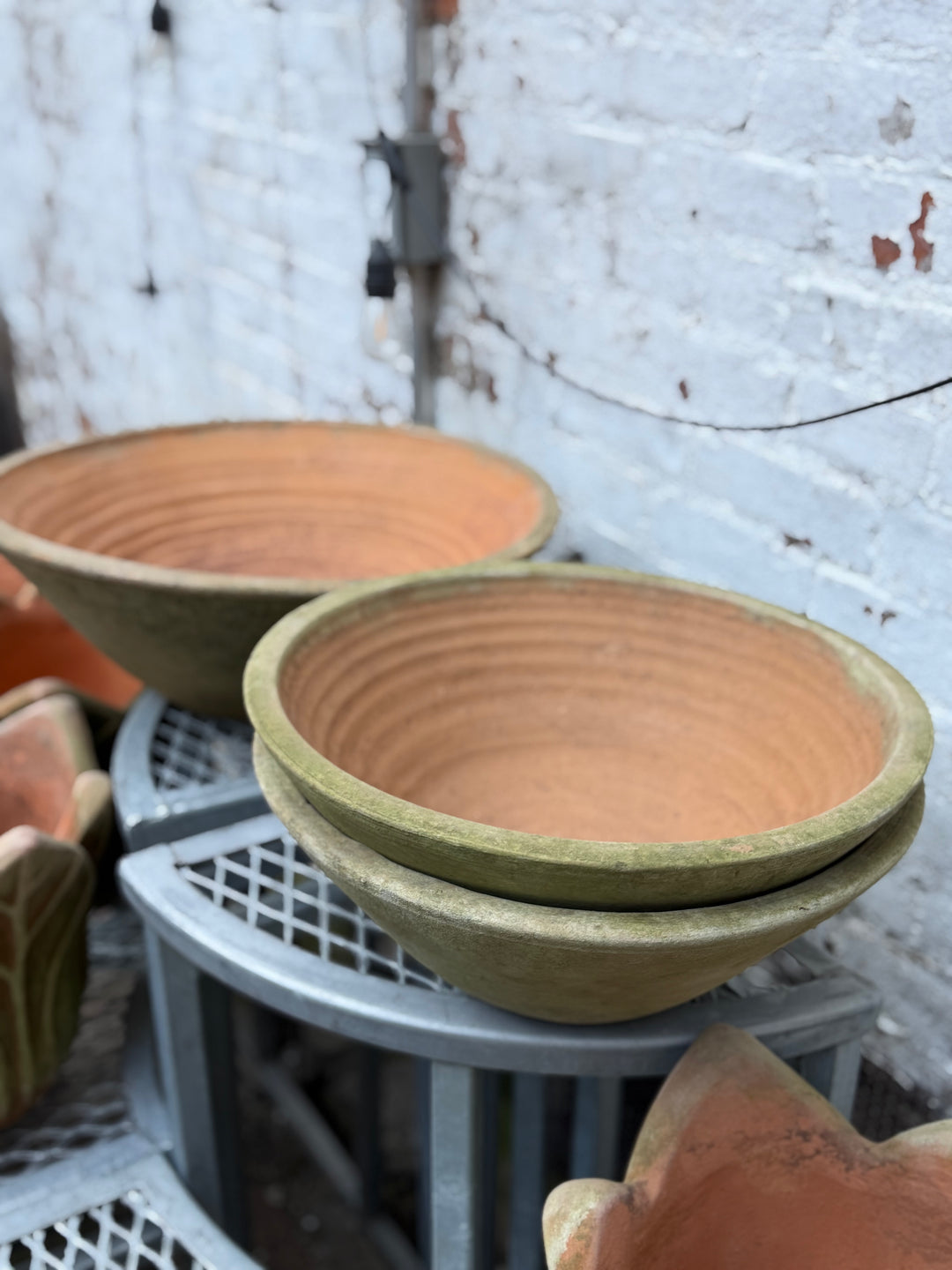 Mossy Terra Cotta Bowl