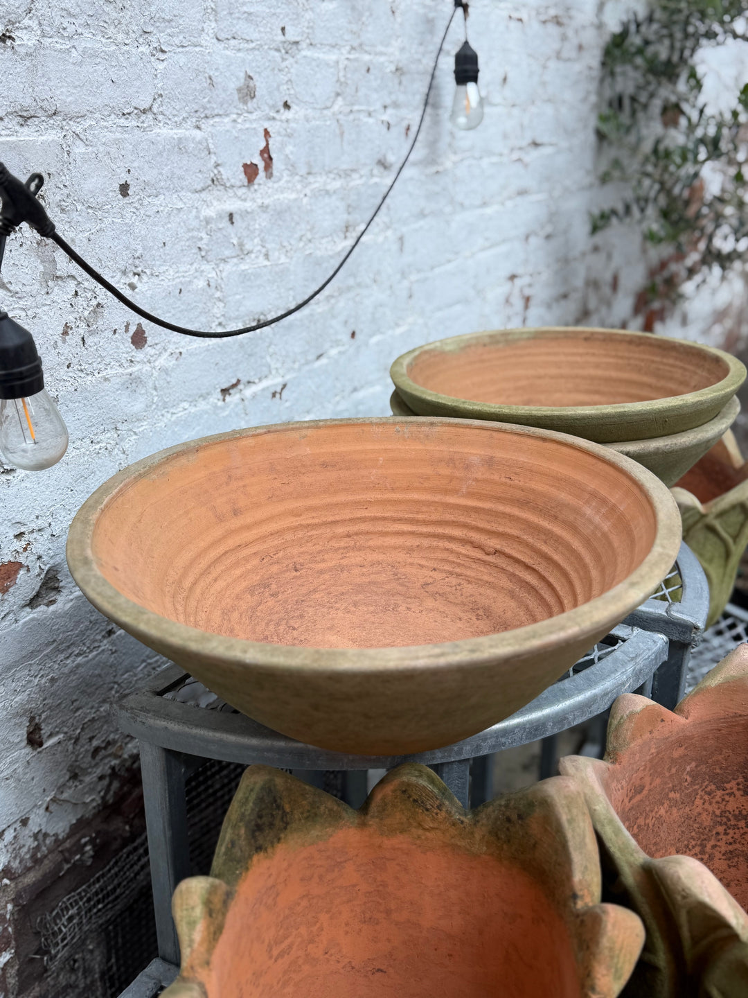 Mossy Terra Cotta Bowl