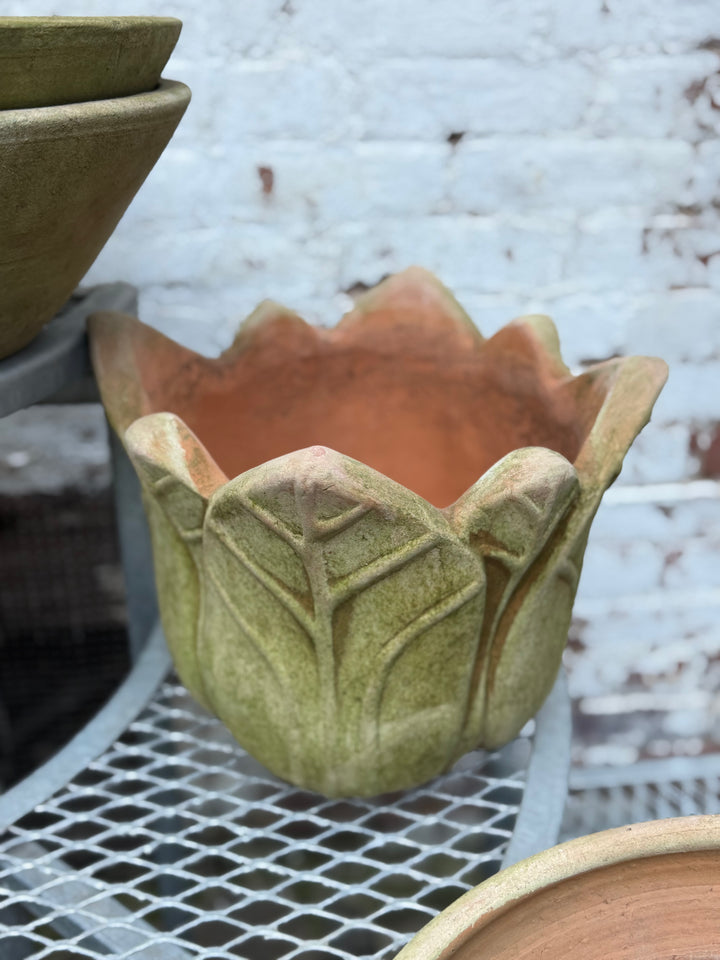 Mossy Terra Cotta Pot – Clematis