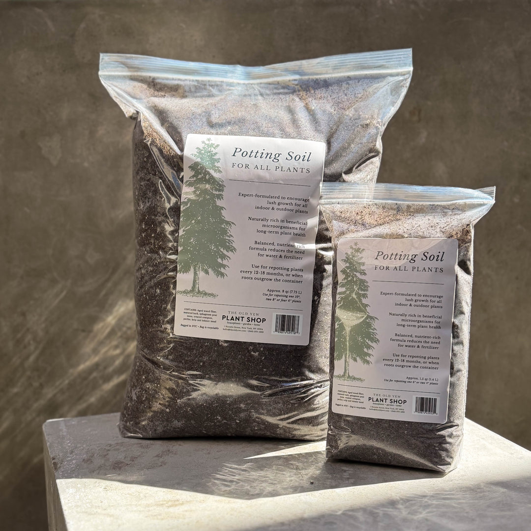 The Old Yew Potting Soil