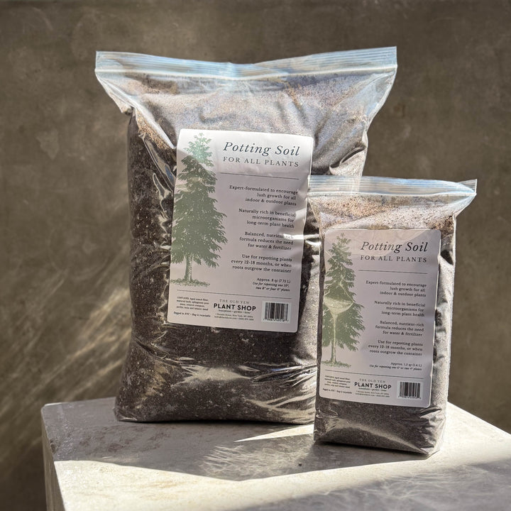 The Old Yew Potting Soil