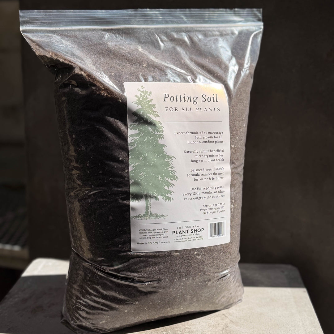 Landscape Essentials: Planting Food Bundle