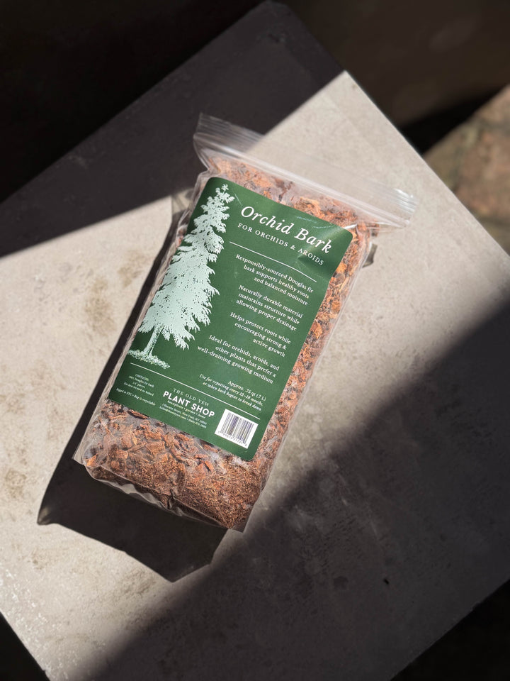 The Old Yew Orchid Bark