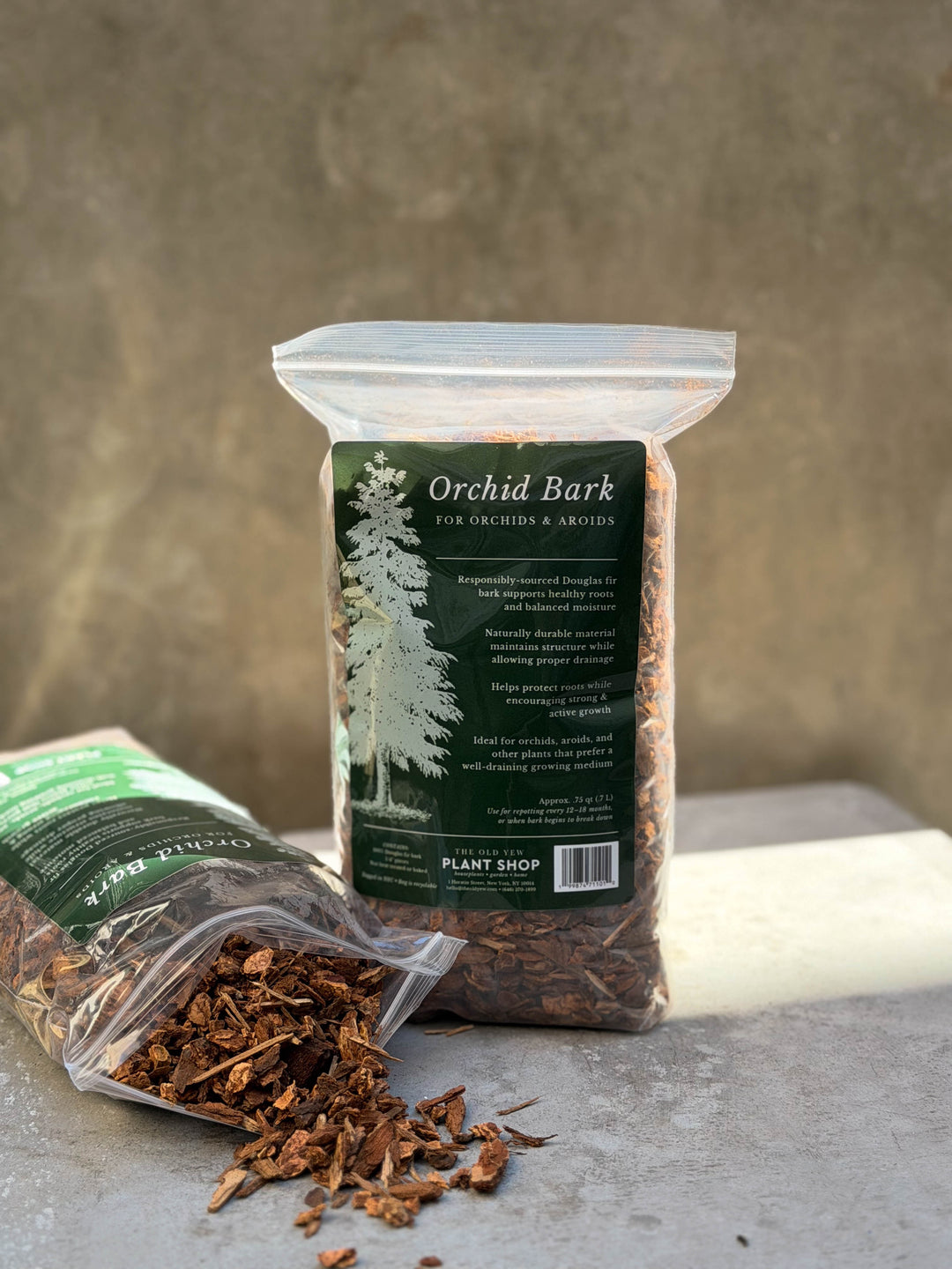 The Old Yew Orchid Bark