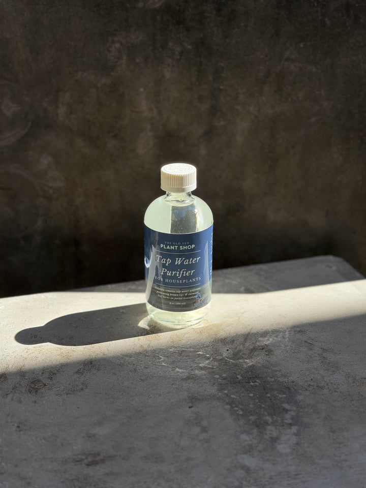 The Old Yew Tap Water Purifier