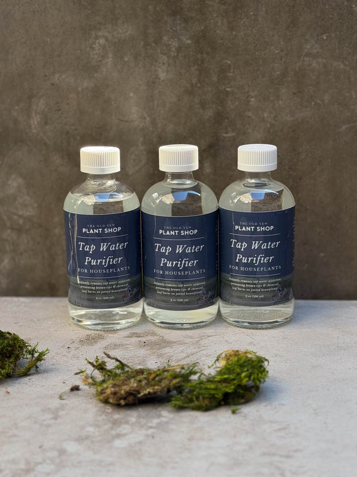 The Old Yew Tap Water Purifier