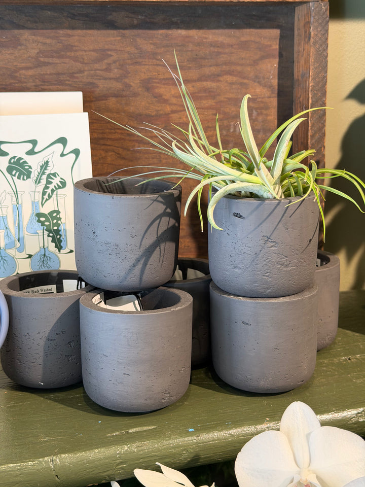 Charlie Pot