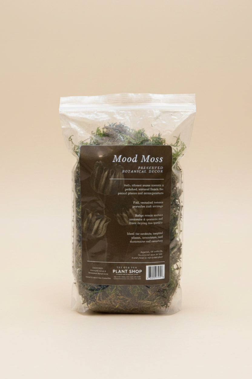 The Old Yew Mood Moss