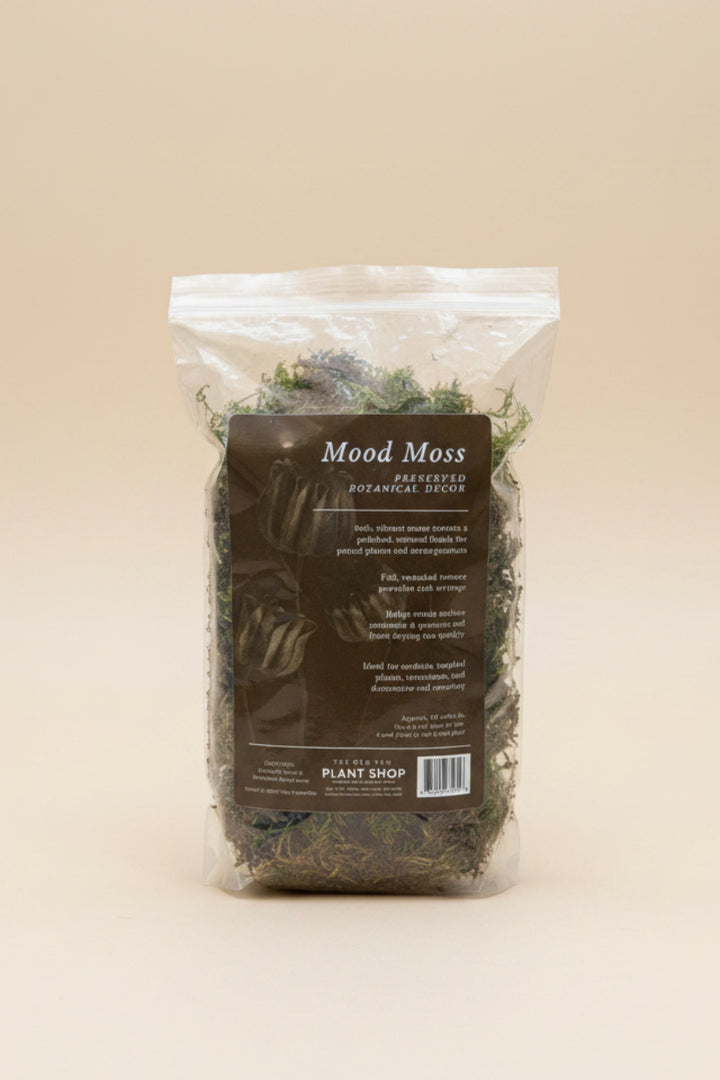 The Old Yew Mood Moss