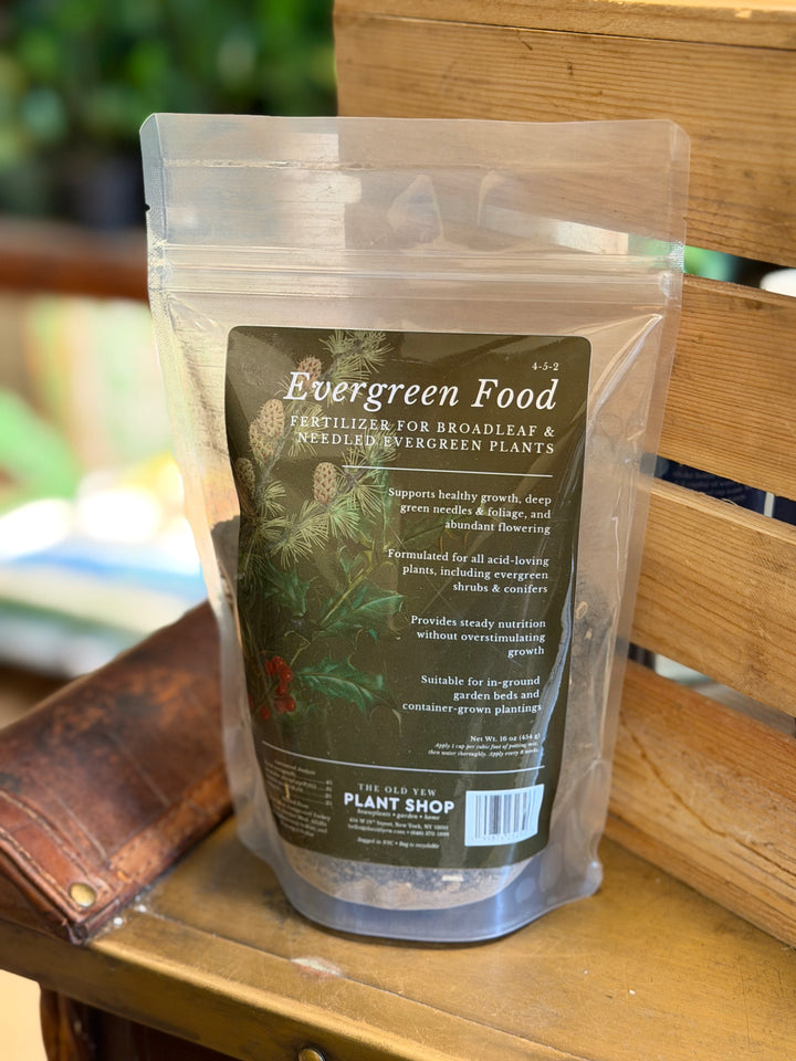 The Old Yew Evergreen Food