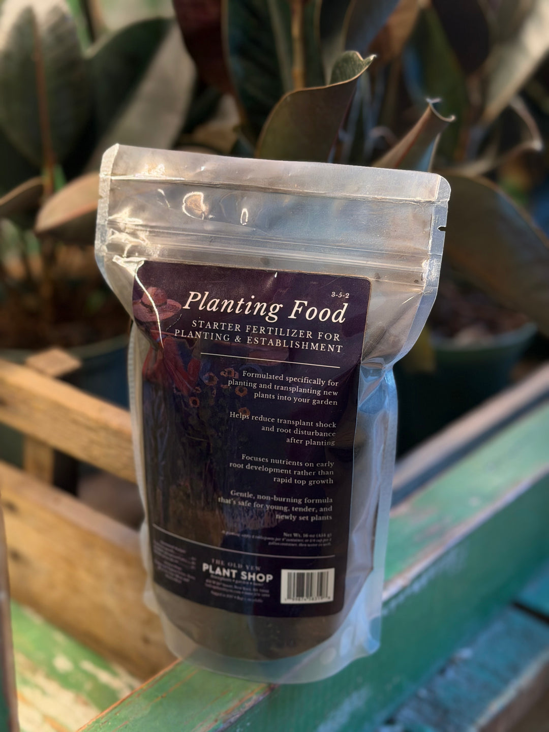 The Old Yew Planting Food