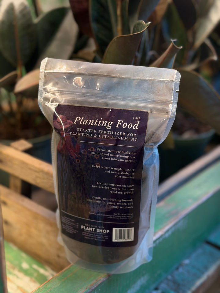 The Old Yew Planting Food
