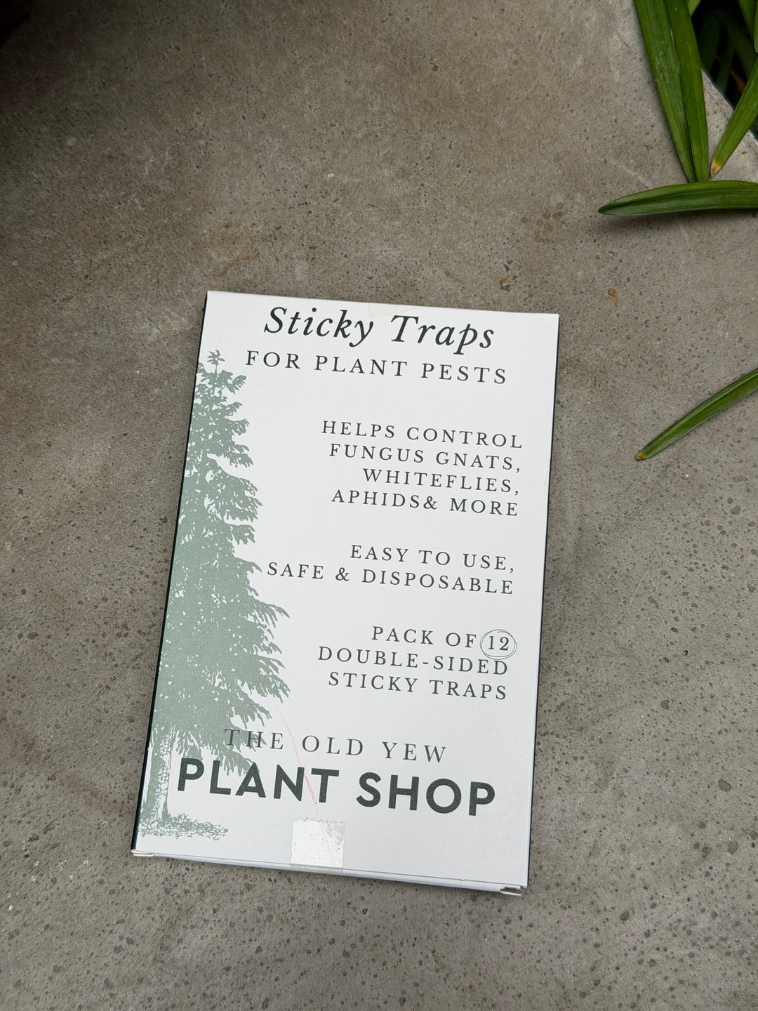 Sticky Traps for Plant Pests