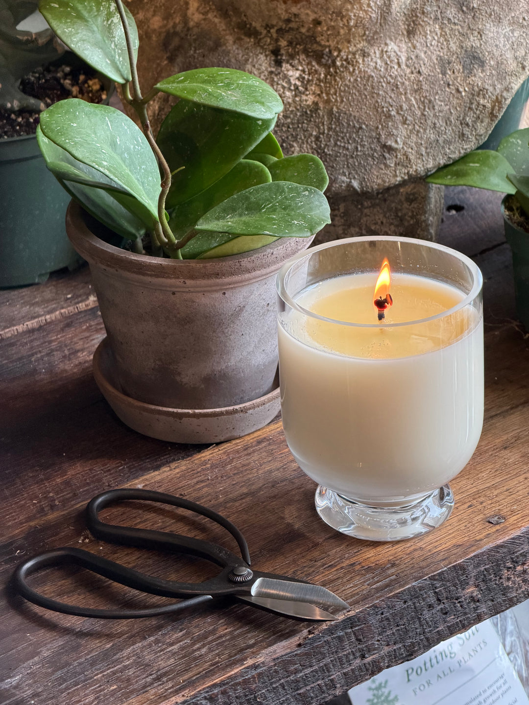 The Old Yew Candle